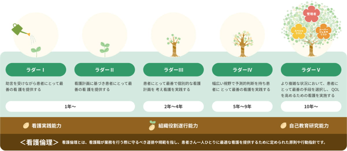 ラダー1から5までの到達目標と、1年目から10年目以降までの成長ステップを示した研修計画図