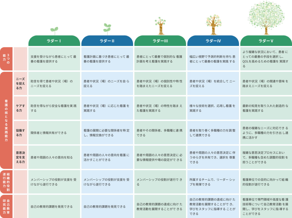 クリニカルラダー図。ラダー1の助言を受けながらの看護から、ラダー5の複雑な状況での最善の選択まで、5段階の成長指標と、看護実践・組織役割・自己教育研究の3つの能力開発軸を示した図解